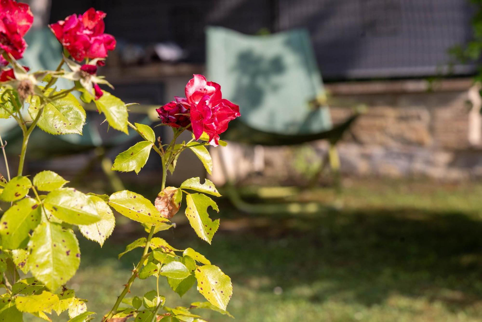 Appartamento Monolocale con 1 Letto Matrimoniale