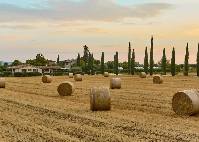 All'Antica Mattonata